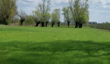 Działka inna Wilga, ul. Adama Mickiewicza