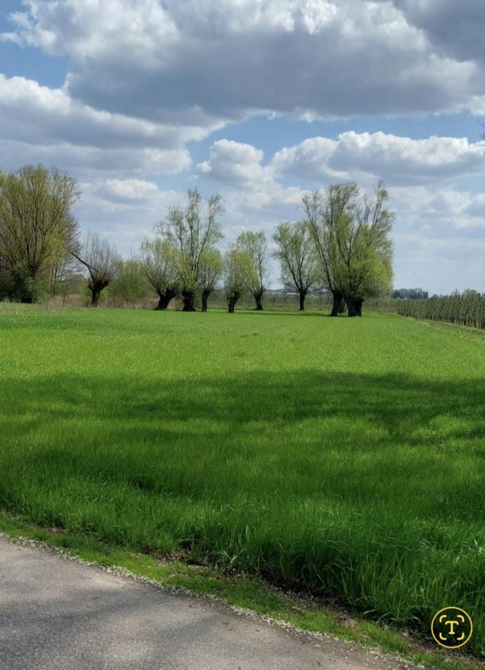 Działka inna Wilga, ul. Adama Mickiewicza