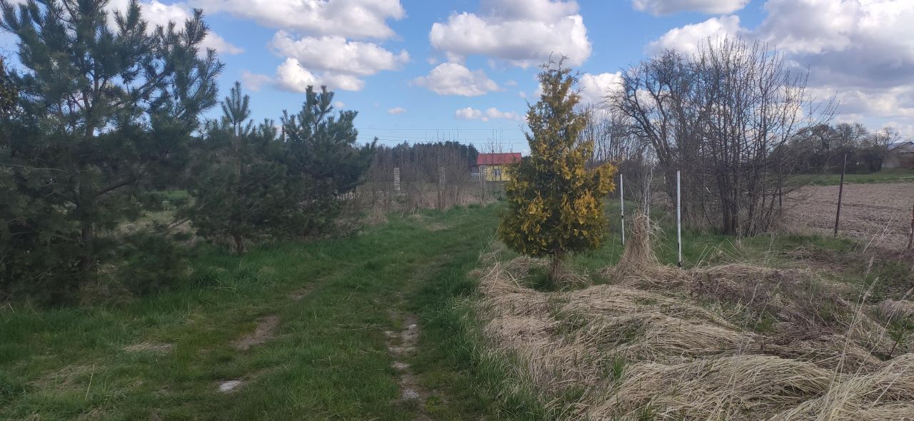 Działka rolno-budowlana Zgniłe Błoto Błoto C. Zdjęcie 3