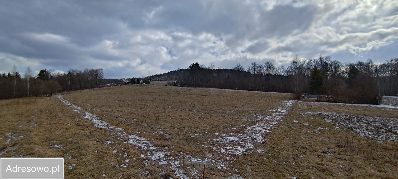 Działka rolna Witowice Dolne. Zdjęcie 4