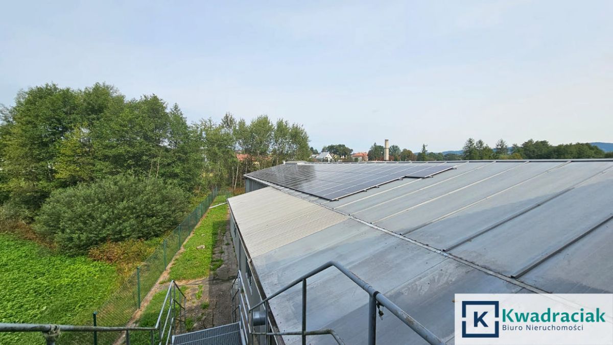 Lokal Brzozów. Zdjęcie 28