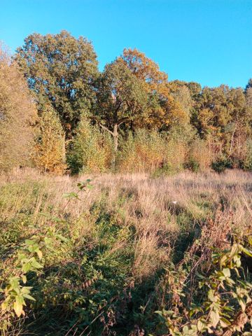 Działka budowlana Bogusławki. Zdjęcie 4