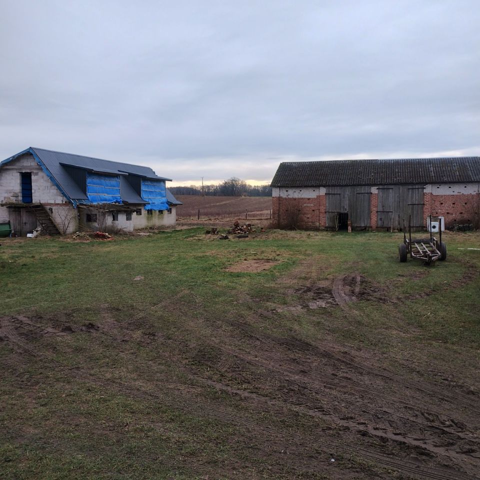 Działka rolno-budowlana Żoruchowo. Zdjęcie 5