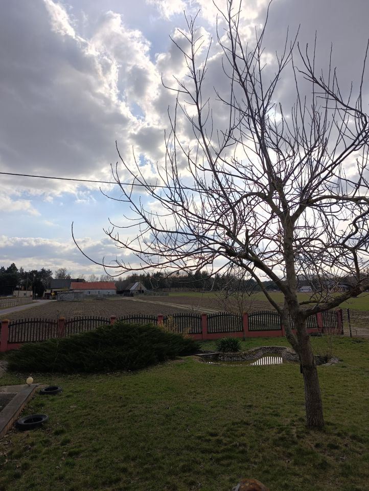 dom wolnostojący, 5 pokoi Juliszew, Juliszew. Zdjęcie 12