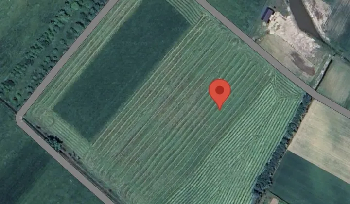 Działka budowlana Kępie Zaleszańskie Kąt, ul. Kolonia