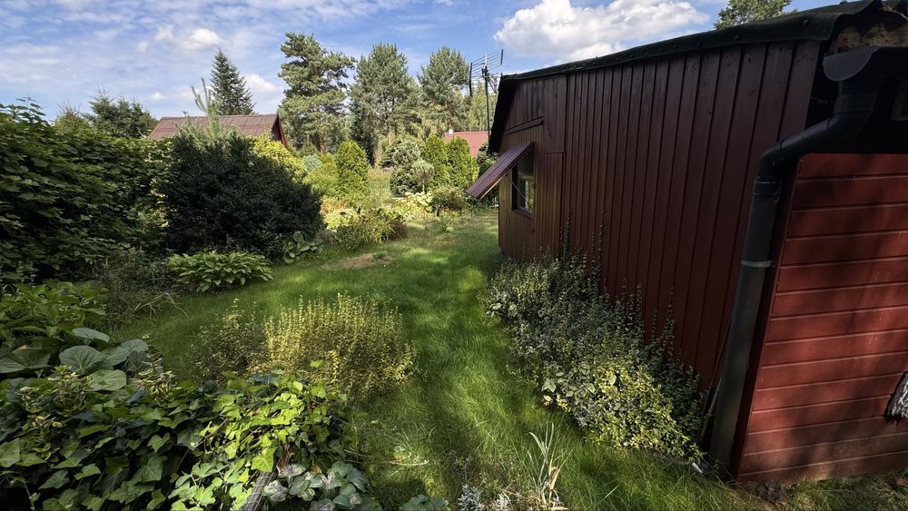 Działka rod Tuszyn Tuszyn-Las. Zdjęcie 6