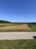 Działka rolna Kików. Zdjęcie 2