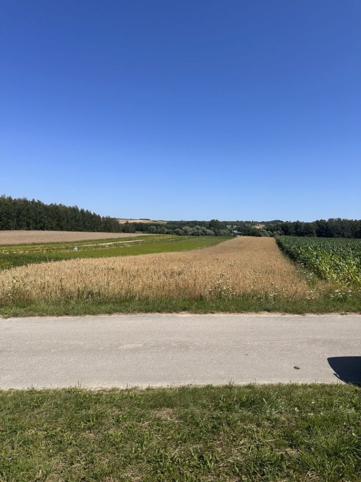 Działka rolna Kików. Zdjęcie 3