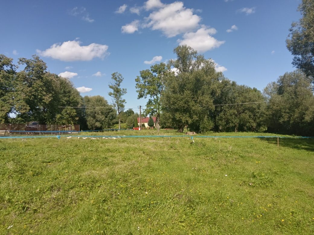 Działka budowlana Obice, ul. Leśna. Zdjęcie 4