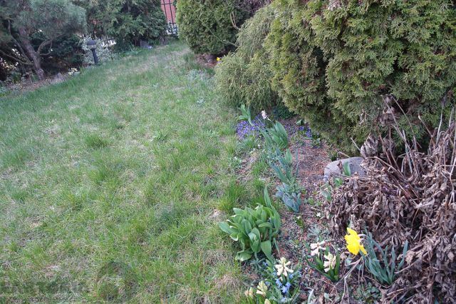 dom wolnostojący, 4 pokoje Szczecin Gumieńce, ul. Tyniecka. Zdjęcie 47