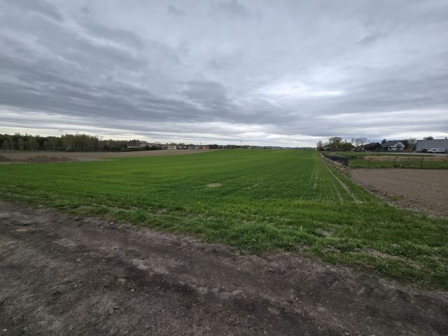 Działka rolno-budowlana Gorzyce. Zdjęcie 1