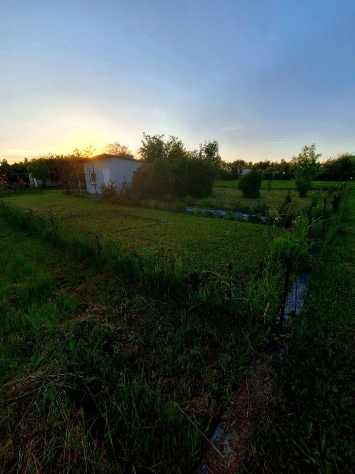 Działka rod Żary, ul. Pszenna. Zdjęcie 3