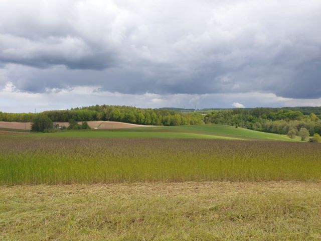 Działka budowlana Barłomino. Zdjęcie 5