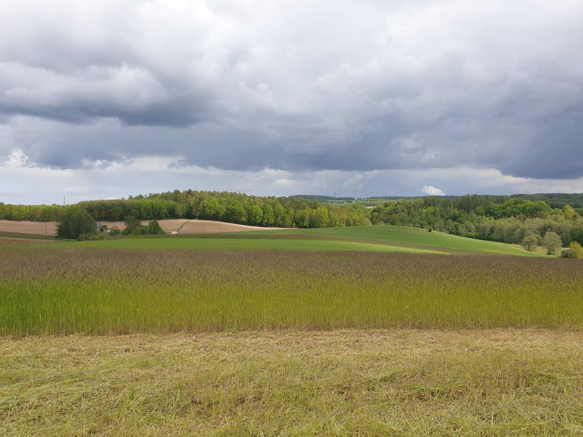 Działka budowlana Barłomino. Zdjęcie 5