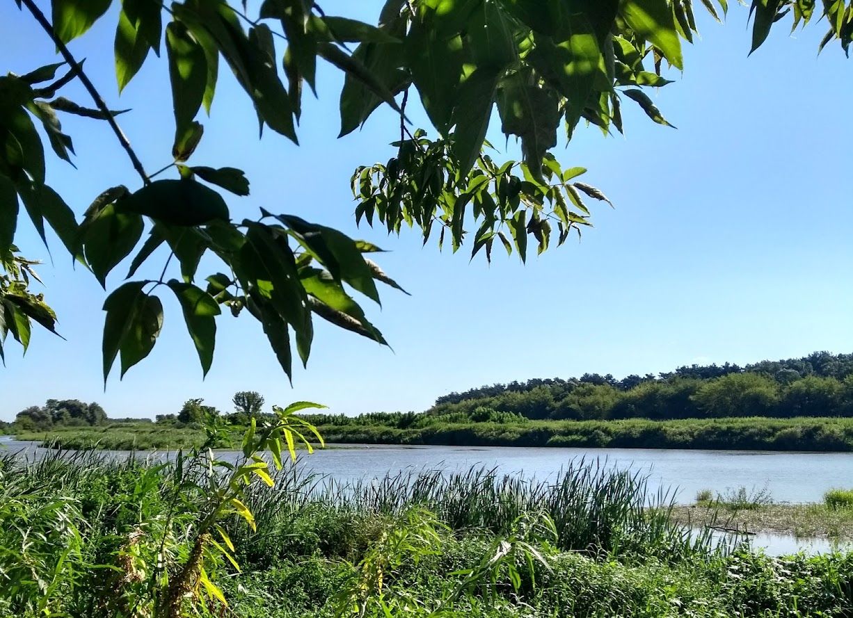 dom wolnostojący, 6 pokoi Gulczewo Podrybnie, Modra. Zdjęcie 8