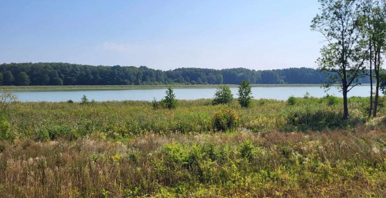 Działka rekreacyjna Pniewo. Zdjęcie 3