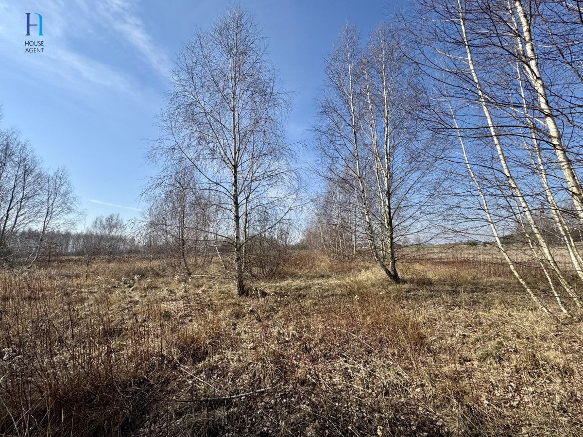 Działka inwestycyjna Nieborów, ul. Wschodnia. Zdjęcie 9