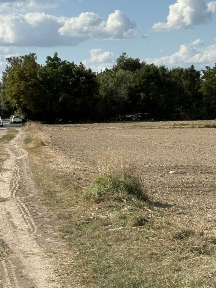 Działka budowlana Niemil. Zdjęcie 8