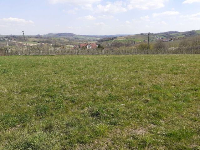 Działka rolno-budowlana Zegartowice. Zdjęcie 1