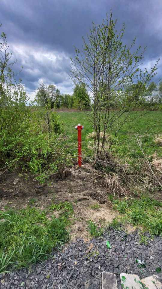 Działka budowlana Górzyn. Zdjęcie 10