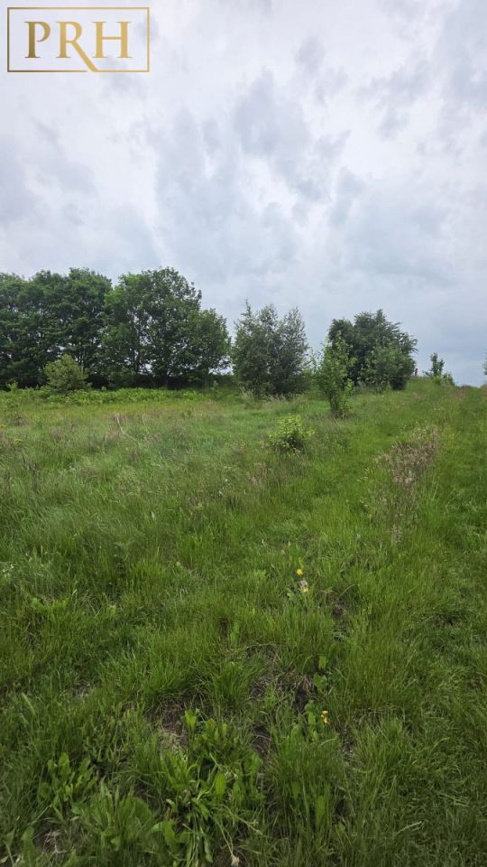 Działka Sarbinowo. Zdjęcie 18