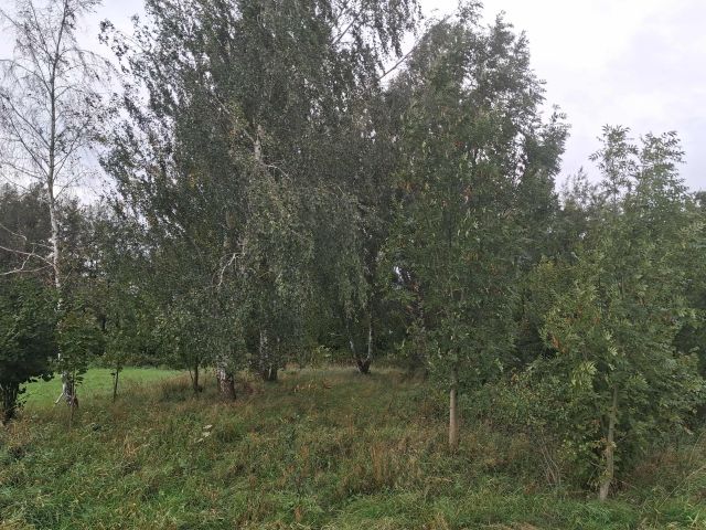 Działka budowlana Popielów, ul. Podstawie. Zdjęcie 1