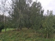 Działka budowlana Popielów, ul. Podstawie