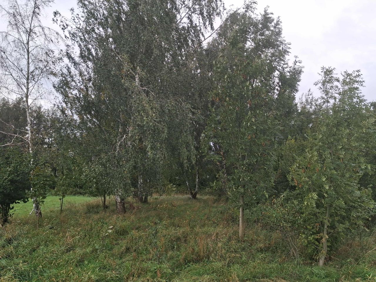 Działka budowlana Popielów, ul. Podstawie