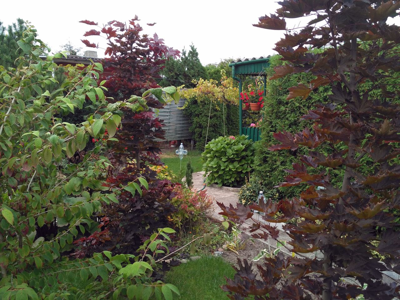 Działka rod Konin Wilków, ul. Świętojańska. Zdjęcie 10