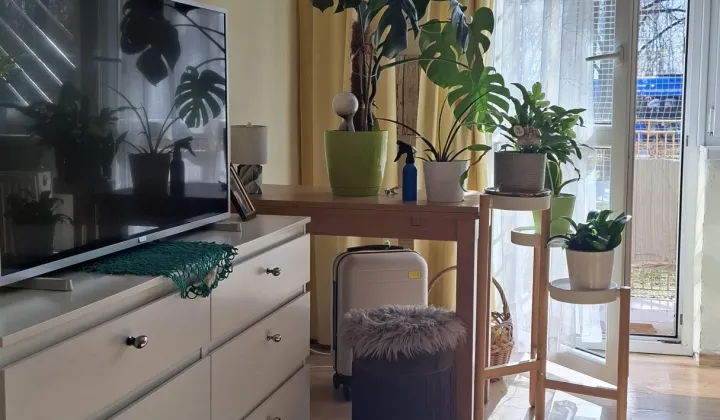 Mieszkanie 2-pokojowe Kraków Nowa Huta, al. Jana Pawła II