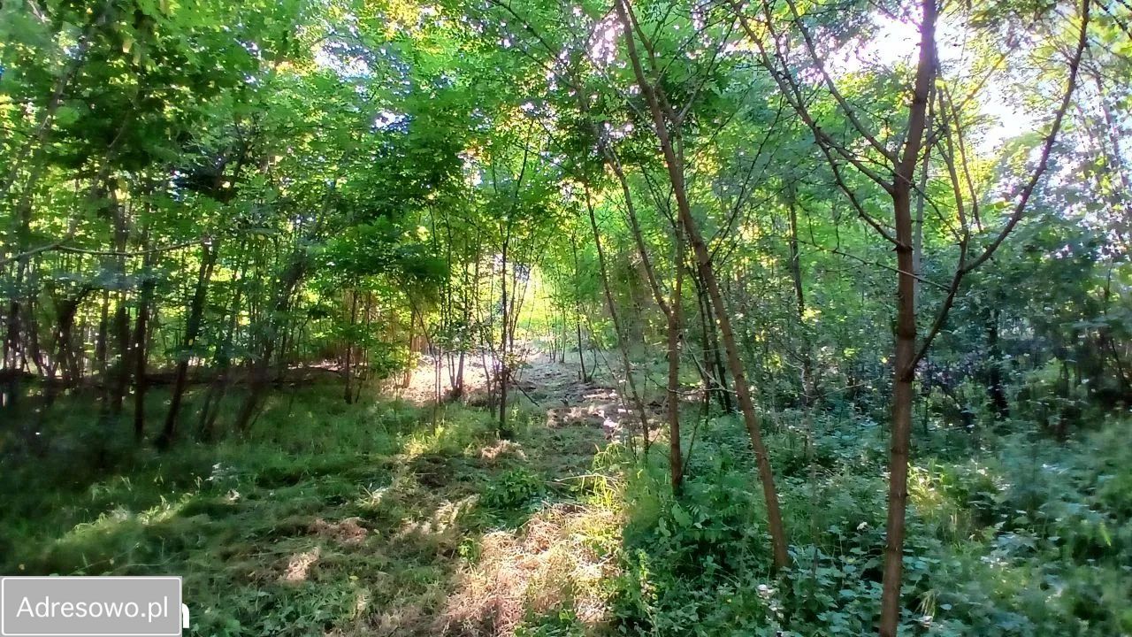 Działka rolno-budowlana Grodnia. Zdjęcie 6