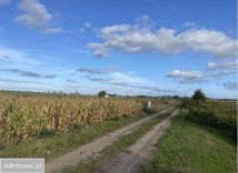 Działka budowlana Renice. Zdjęcie 3