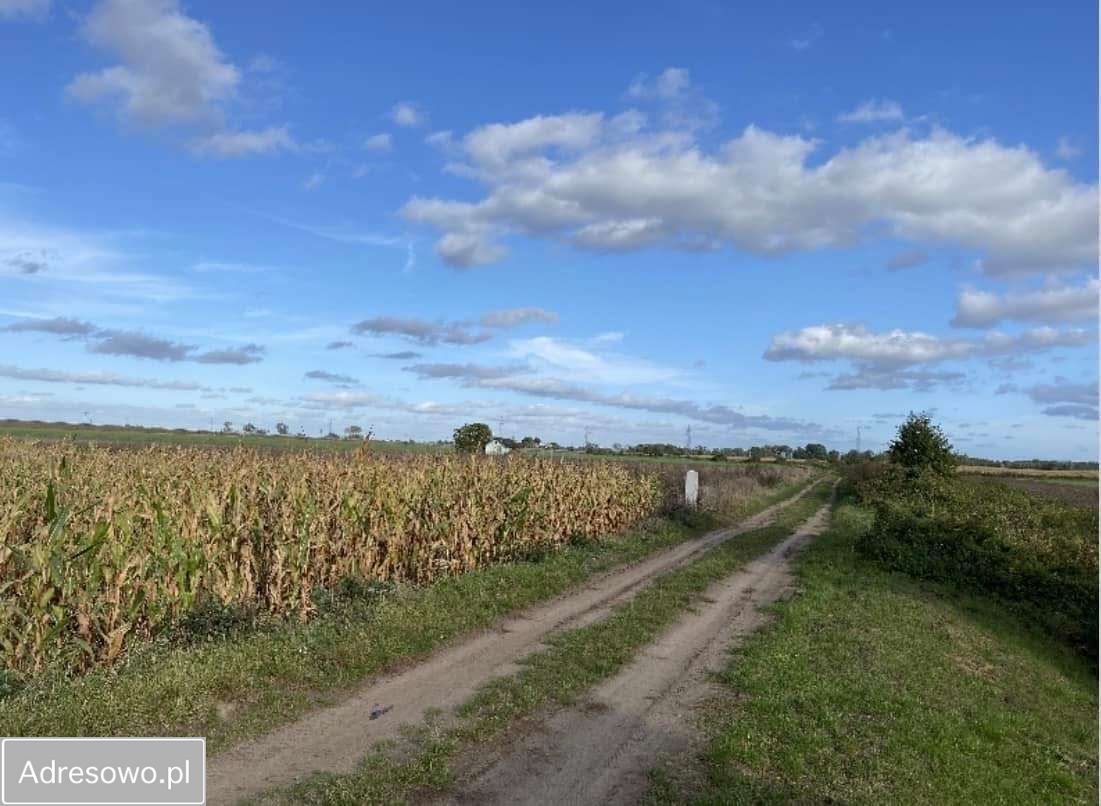 Działka budowlana Renice. Zdjęcie 4