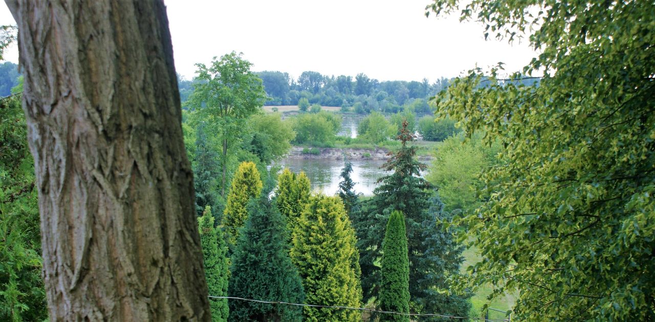 Działka budowlana Wygoda Smoszewska. Zdjęcie 11