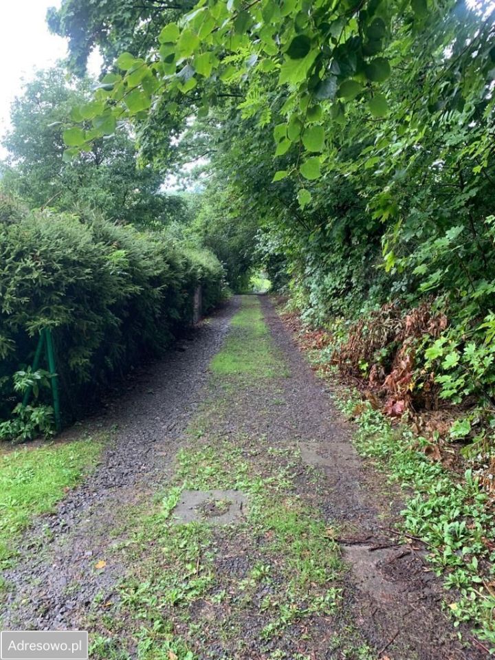 Działka budowlana Jarnołtówek. Zdjęcie 12