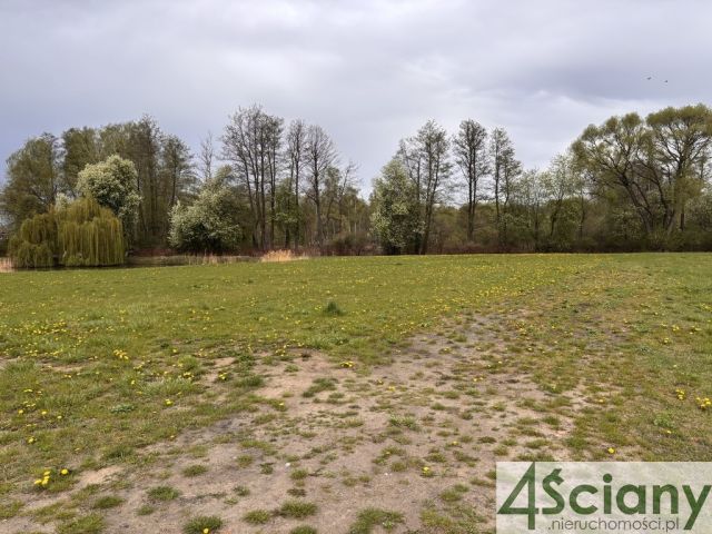 Działka budowlana Żółwin. Zdjęcie 5