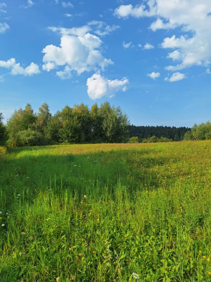 Działka rolna Golcowa. Zdjęcie 4