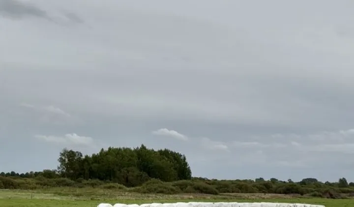 Działka budowlana Stramnica