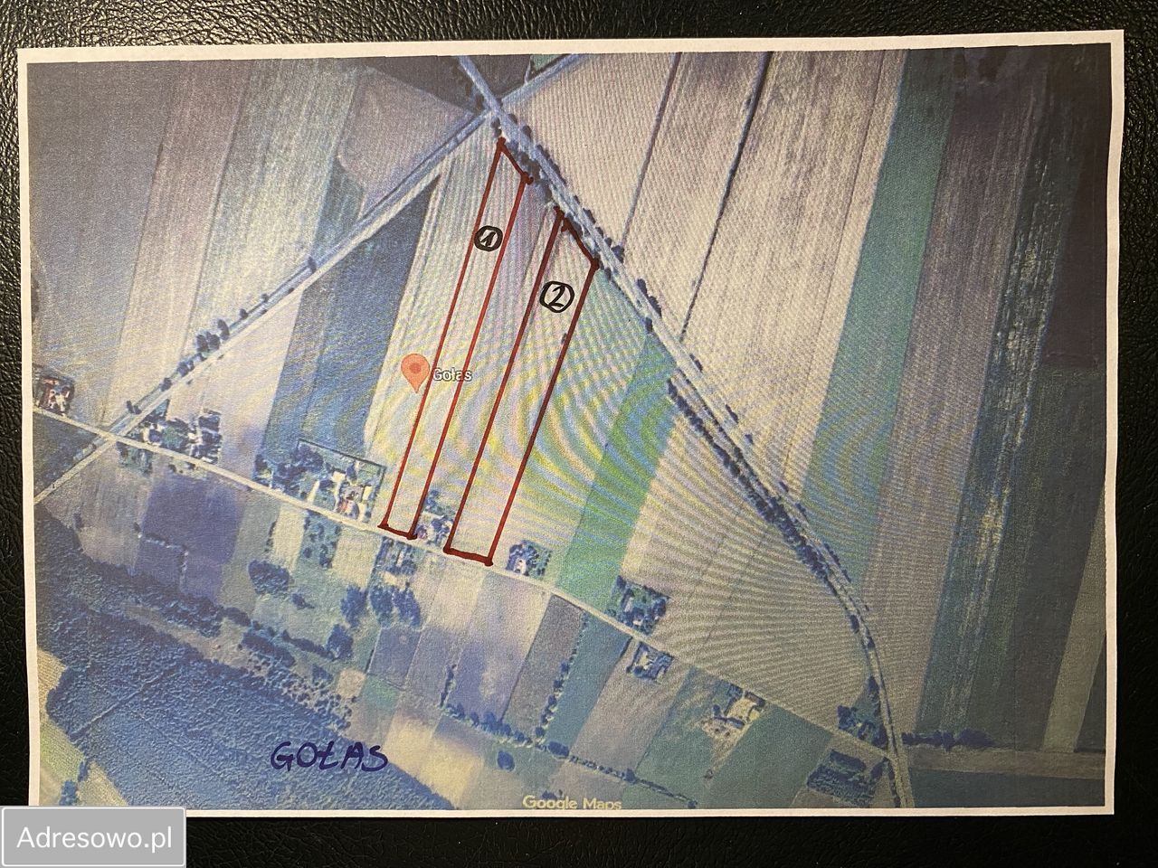 Działka rolna Gołas. Zdjęcie 7