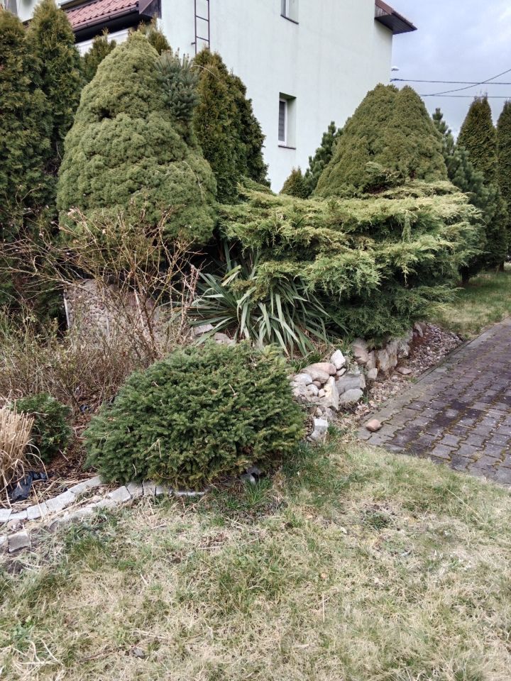 dom wolnostojący, 5 pokoi Wrocław Zakrzów, ul. Stoczniowa. Zdjęcie 4