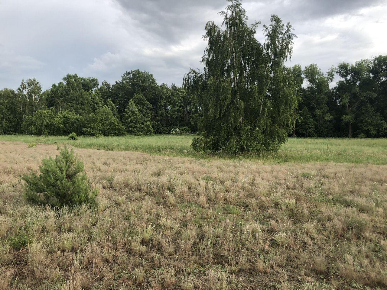 Działka budowlana Kolankowo, ul. Sielanka. Zdjęcie 11