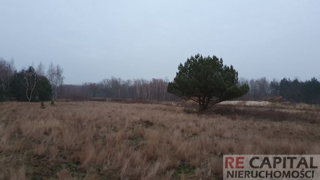 Działka siedliskowa Borzęcin Duży. Zdjęcie 5