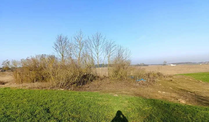 Działka rolno-budowlana Jarczewo