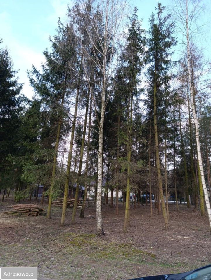 Działka budowlana Kuranów. Zdjęcie 3