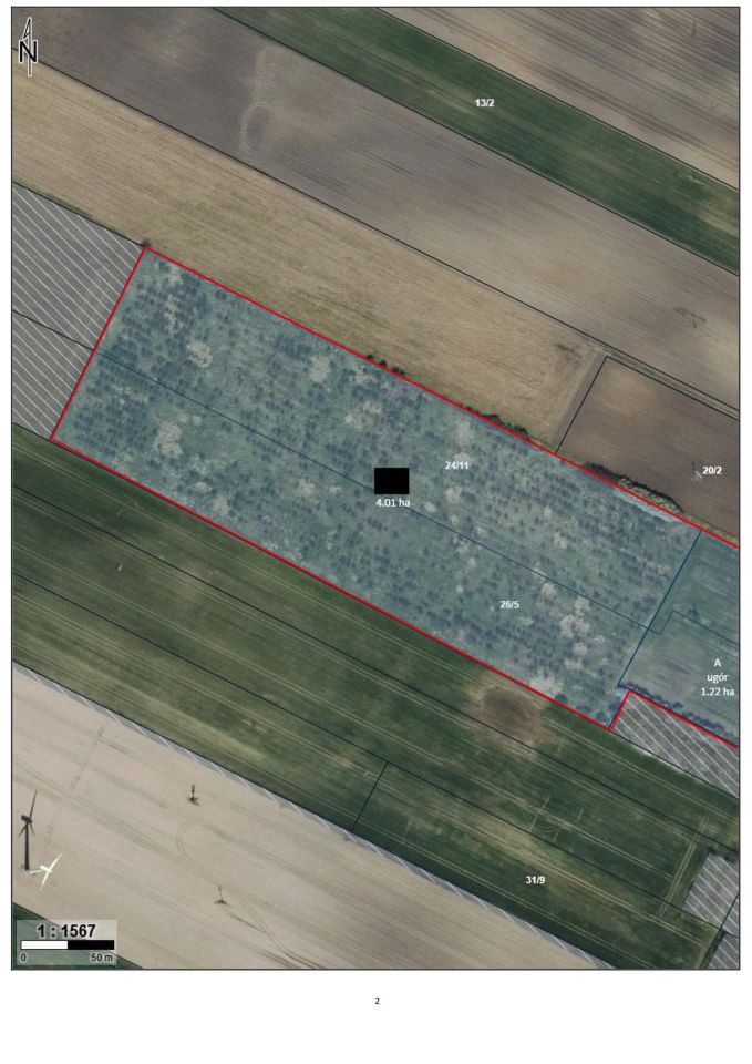 Działka inwestycyjna Pikutkowo. Zdjęcie 2