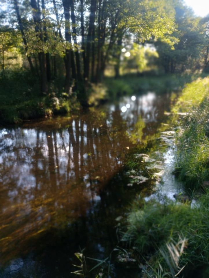 Działka rolna Spore. Zdjęcie 6