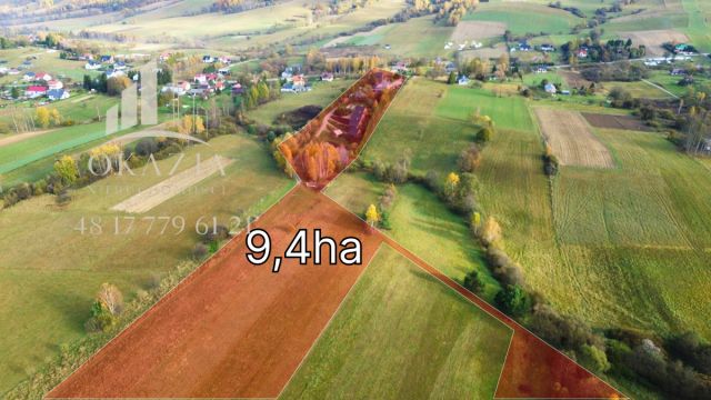 Lokal Równia. Zdjęcie 21