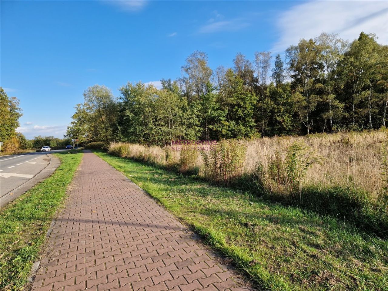 Działka inwestycyjna Gorzyczki. Zdjęcie 3
