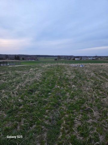 Działka rolno-budowlana Lubichowo. Zdjęcie 1