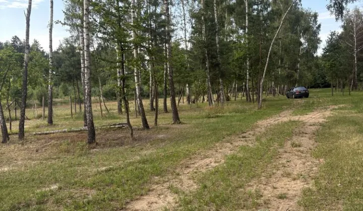 Działka budowlana Korczew